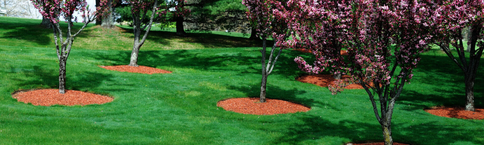 Northeast landscaping north andover